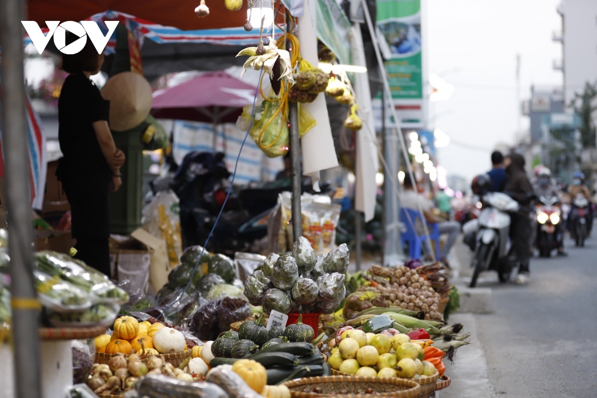 spring flower market in ho chi minh city opens picture 2