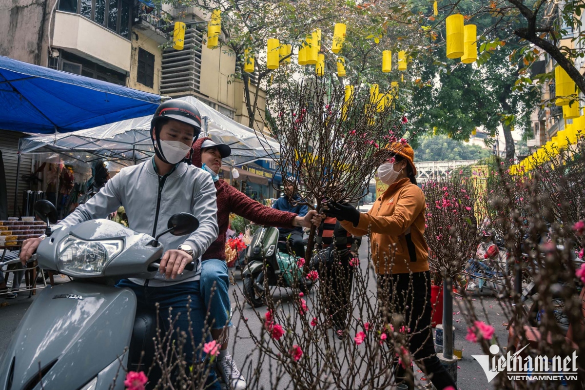 hang luoc traditional flower market bustling as tet draws near picture 7