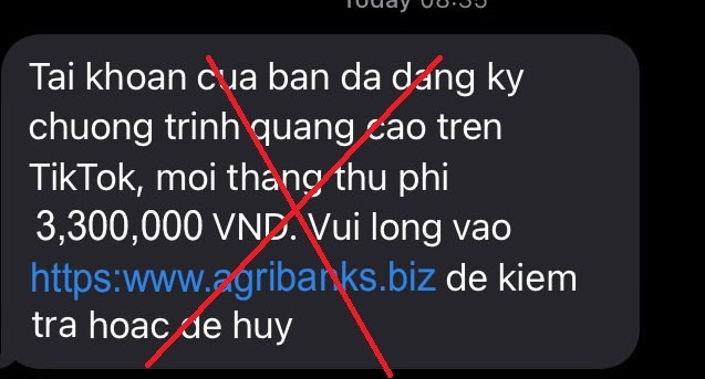 ngan hang canh bao lua dao gia tang dip tet nguyen dan hinh anh 1