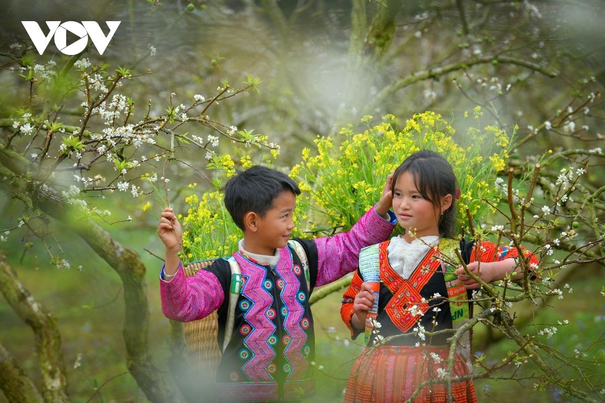 photos capture beauty of children of moc chau plateau picture 2