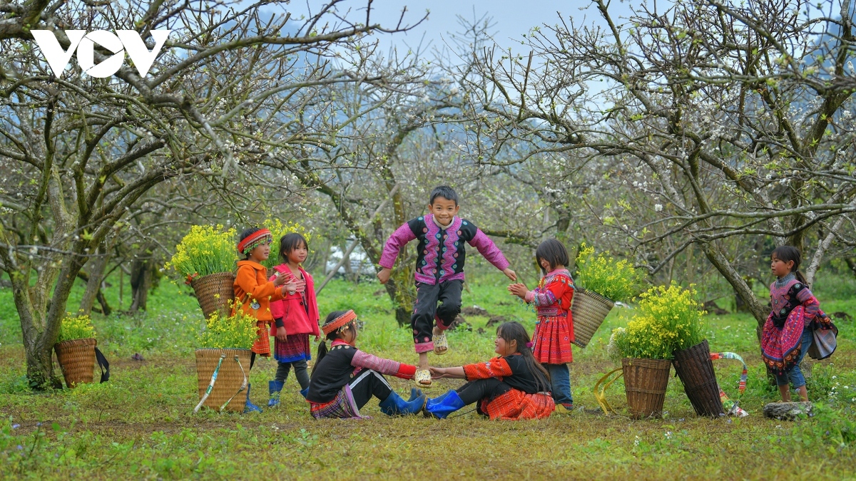 photos capture beauty of children of moc chau plateau picture 3