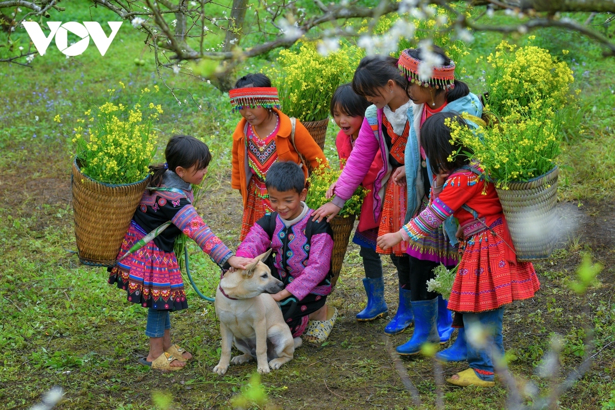 photos capture beauty of children of moc chau plateau picture 5