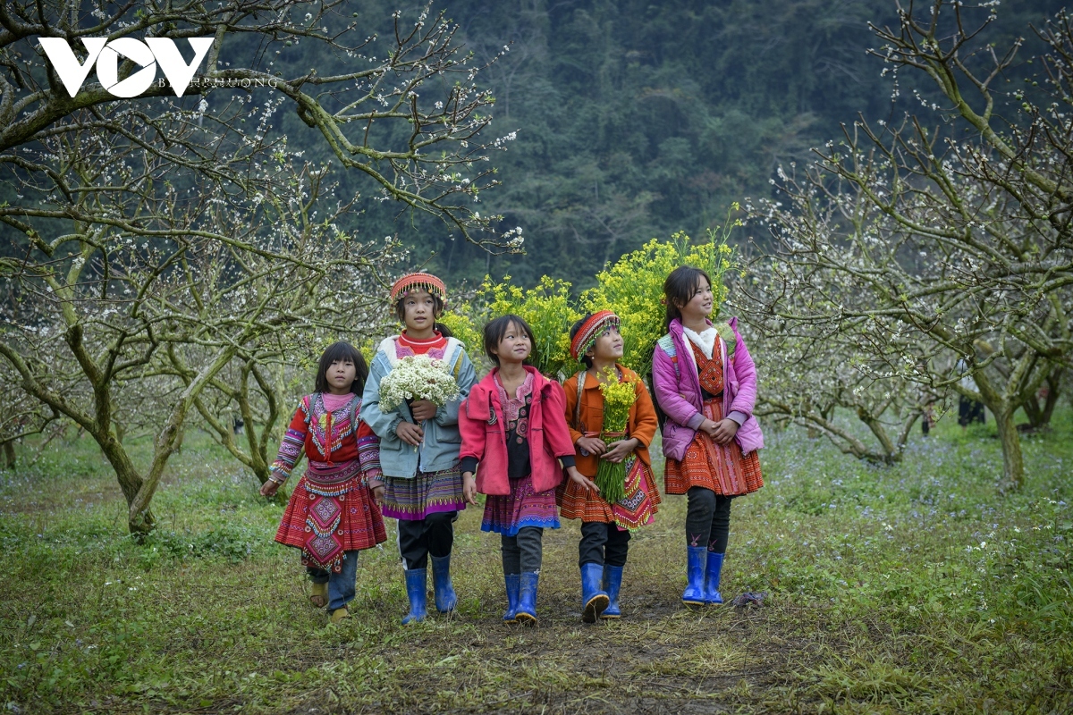photos capture beauty of children of moc chau plateau picture 6