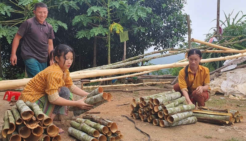 Nông nghiệp Lào Cai “đi sau, về trước”