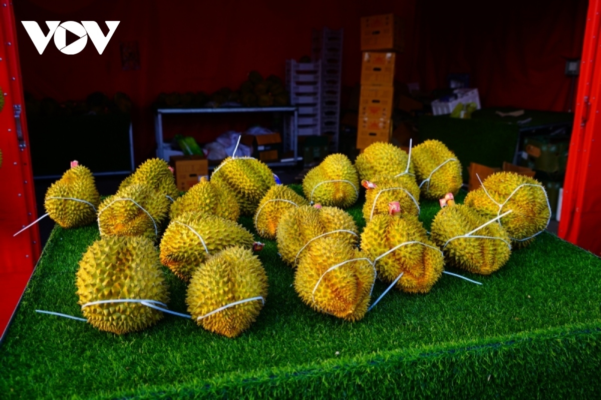 vietnam durian and fruit festival opens in tianjin picture 1