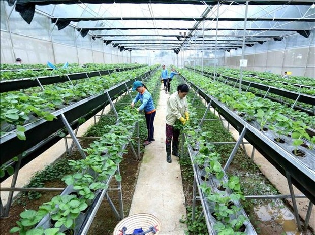 science, technology, innovation to contribute over 50 to agricultural growth by 2030 picture 1