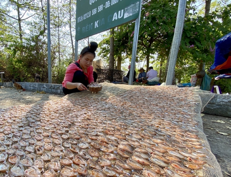 Xuân ấm trên vùng Đà giang