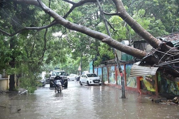 fewer storms to hit vietnam this year picture 1