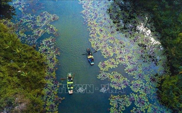 world wetlands day 2023 to be observed in vietnam with various activities picture 1
