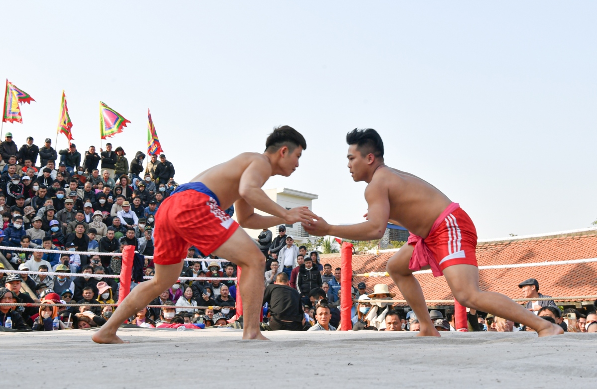 hai phong hosts 700-year-old wrestling festival picture 5