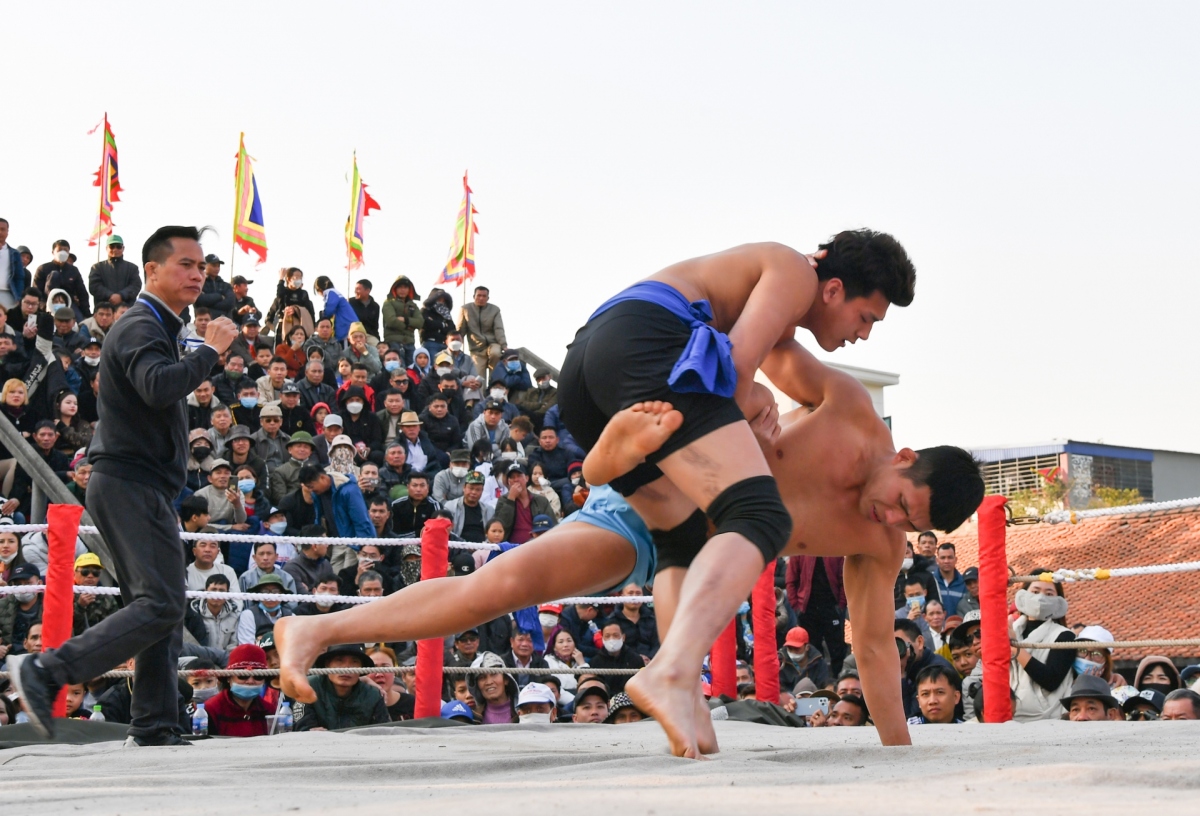 hai phong hosts 700-year-old wrestling festival picture 7