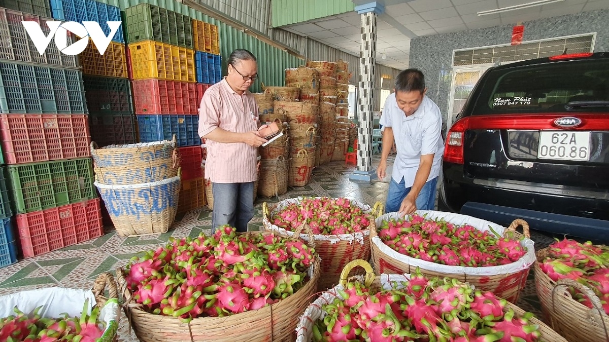 farm produce businesses seeking stable supply sources for exports to china picture 1
