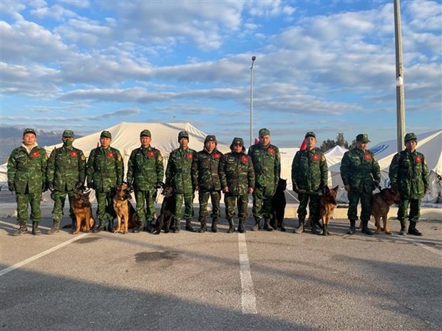 vietnam s search-and-rescue dogs work effectively in turkey picture 1