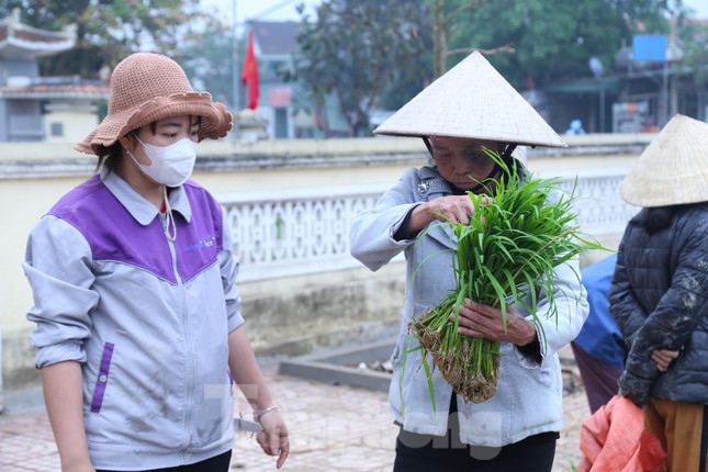 phien cho ban lua non hiem co chi hop it ngay roi tu tan hinh anh 2