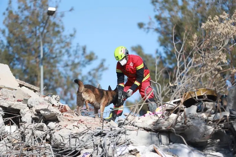 Nhân viên cứu hộ đặc biệt trong trận động đất ở Thổ Nhĩ Kỳ và Syria