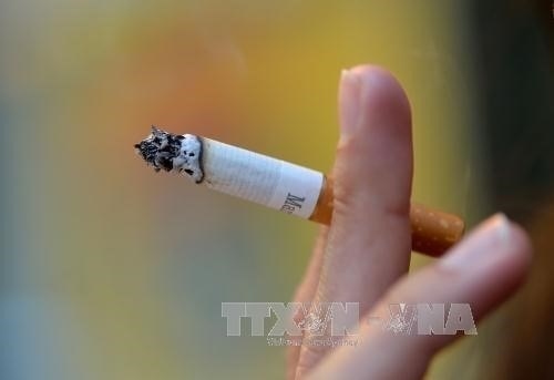 ministry proposes a hike in special consumption tax on cigarettes, beer, spirits picture 1