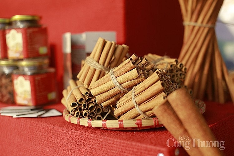 canada represents potential market for vietnamese cinnamon picture 1 canada represents potential market for vietnamese cinnamon picture 1