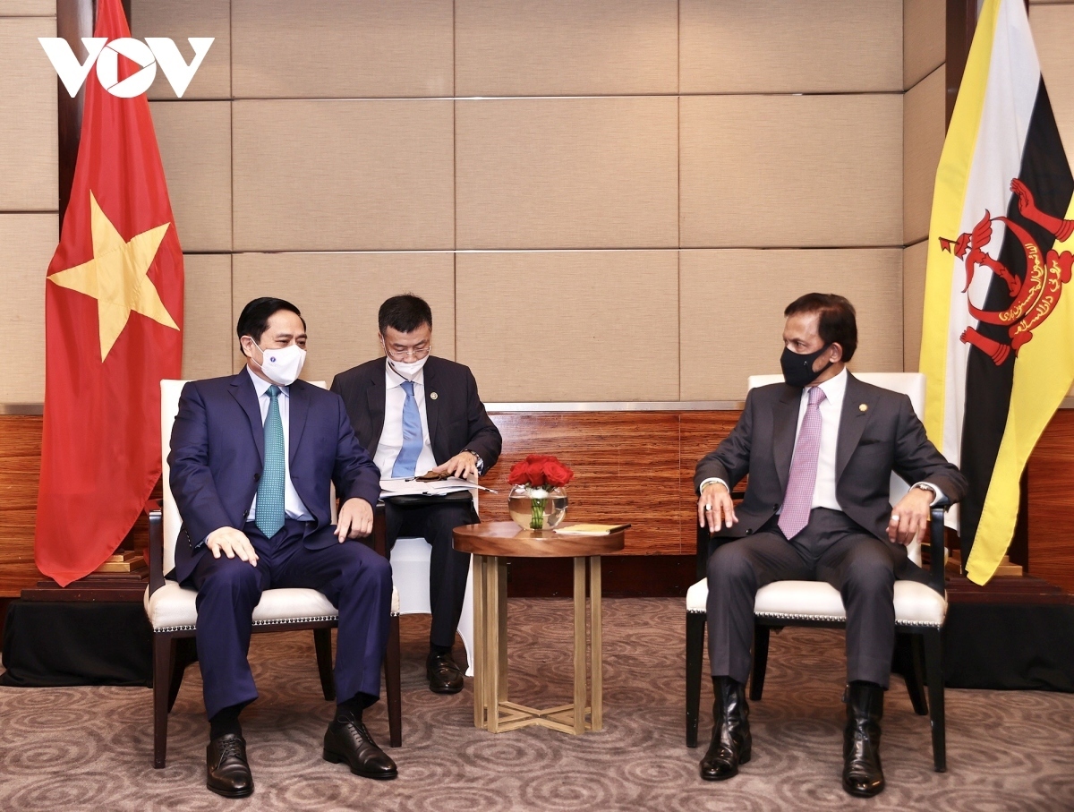 vietnam, brunei seek stronger comprehensive partnership picture 1