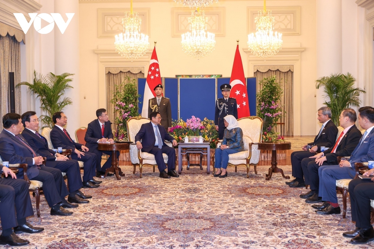vietnamese government chief meets singaporean president picture 2