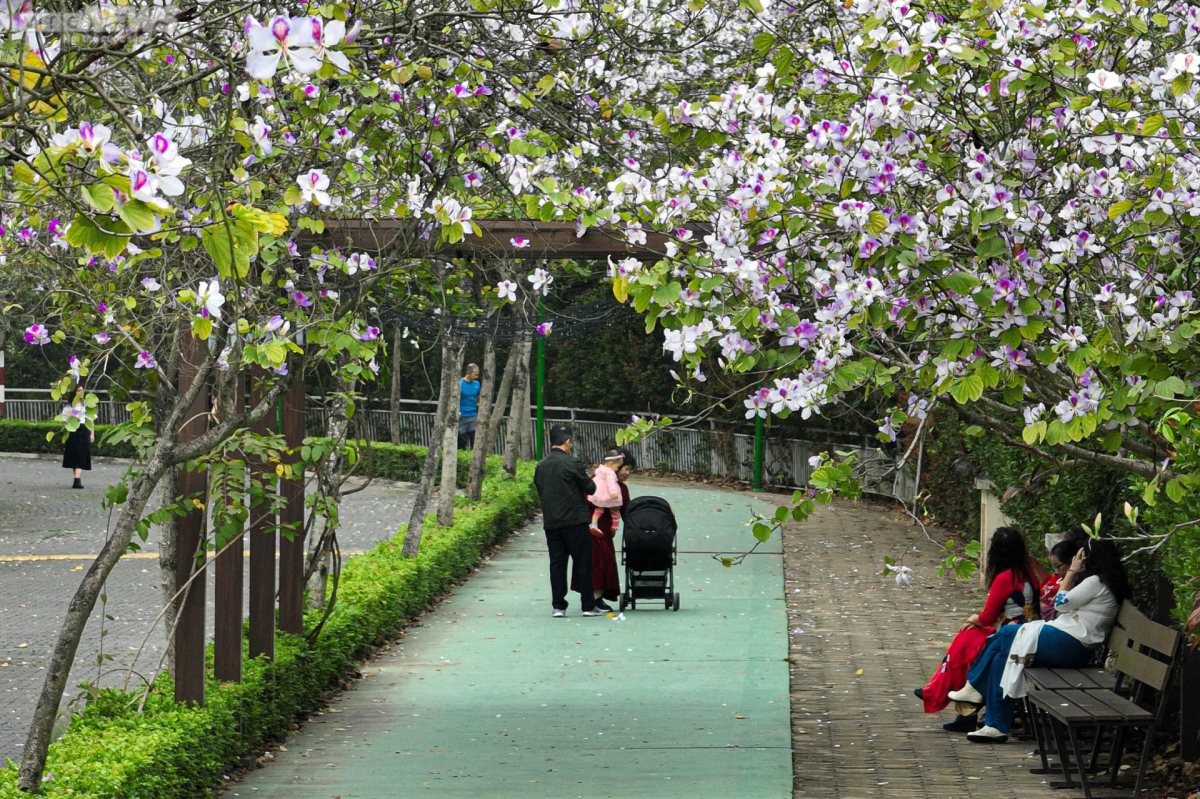 foreigners excited to discover flower road in hanoi picture 10