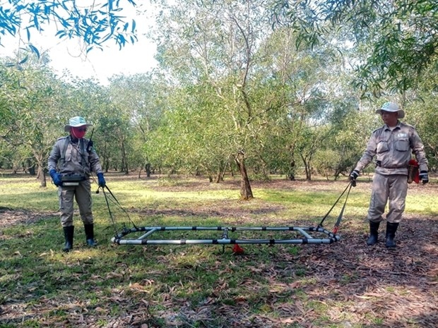 nearly 300 war-time explosives found in quang tri picture 1