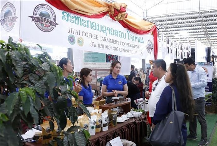 vietnam attends bolaven coffee, tea and agro-festival 2023 in laos picture 1