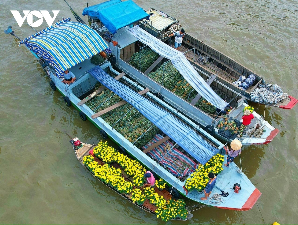 cai rang floating market - a fantastic tourist destination in mekong delta picture 16