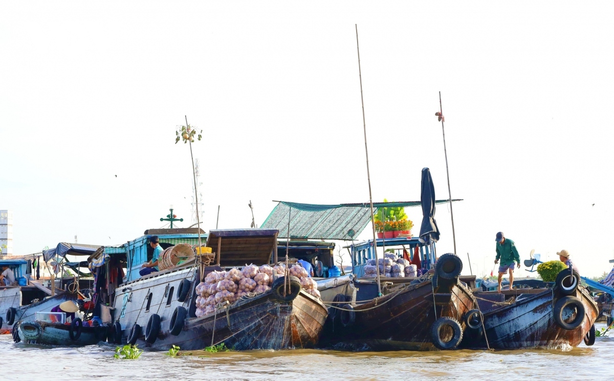 cai rang floating market - a fantastic tourist destination in mekong delta picture 2