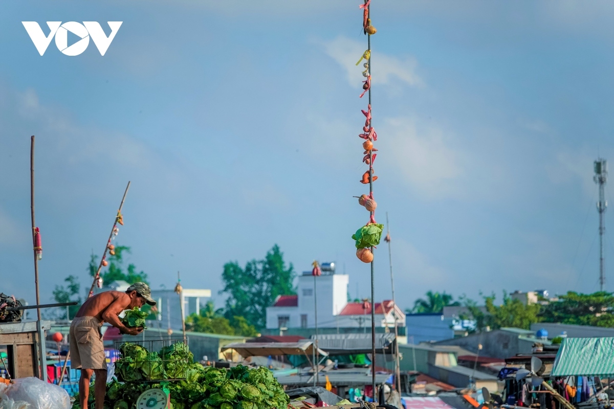 cai rang floating market - a fantastic tourist destination in mekong delta picture 6