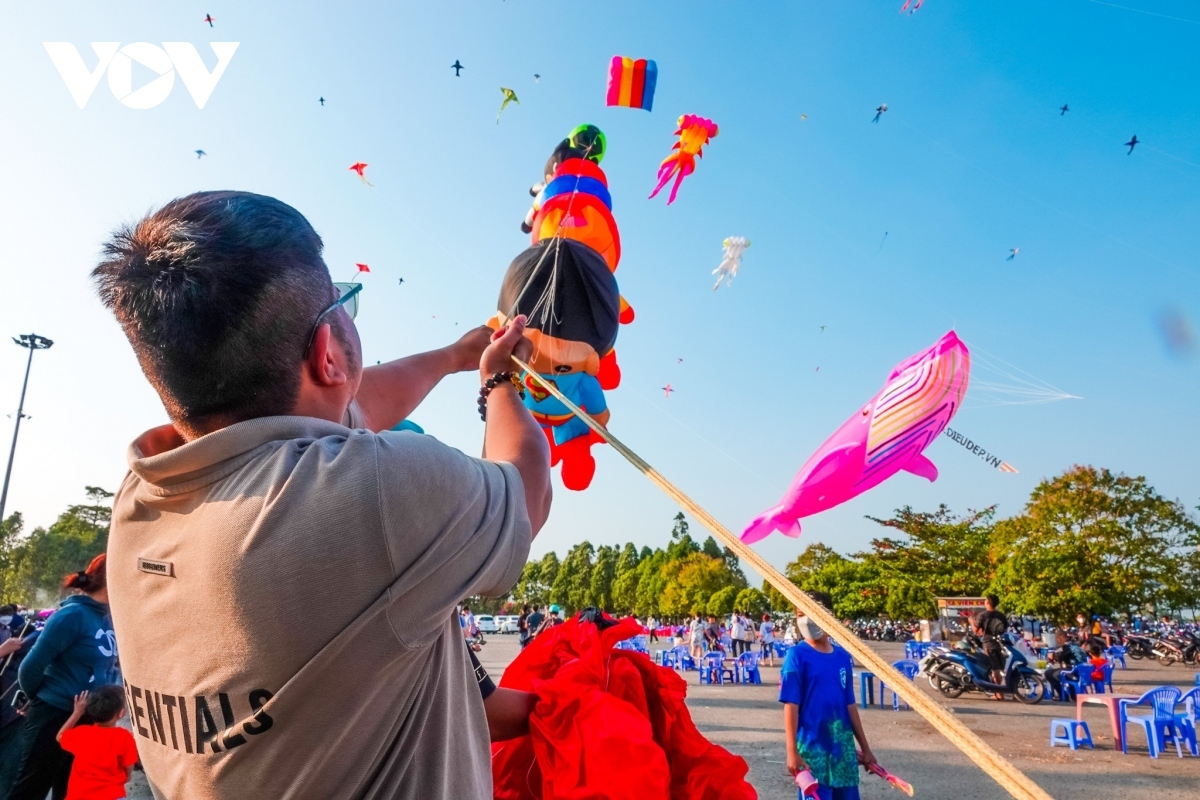 annual kite festival draws large crowds in can tho picture 10