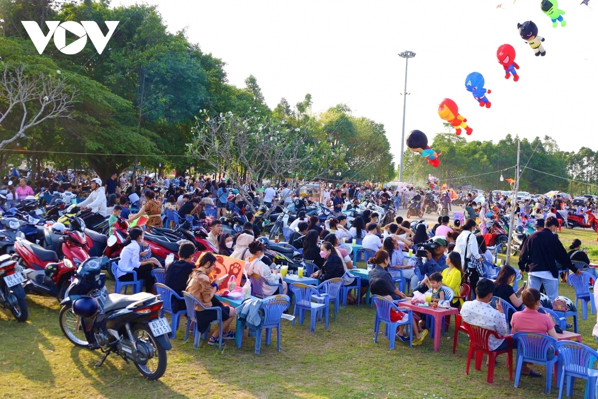 annual kite festival draws large crowds in can tho picture 12