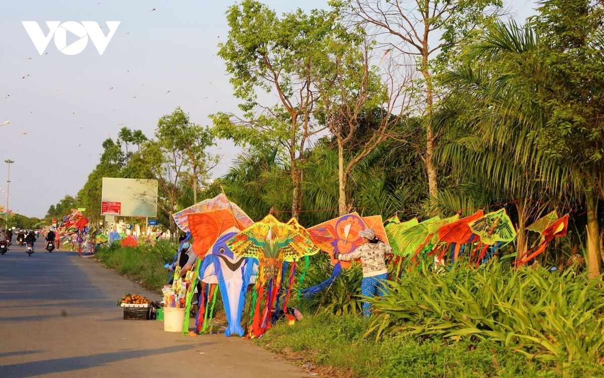 annual kite festival draws large crowds in can tho picture 2