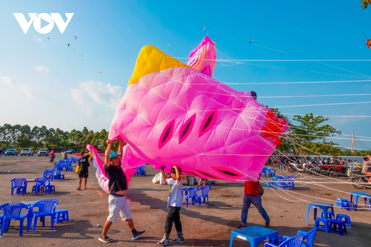 annual kite festival draws large crowds in can tho picture 5