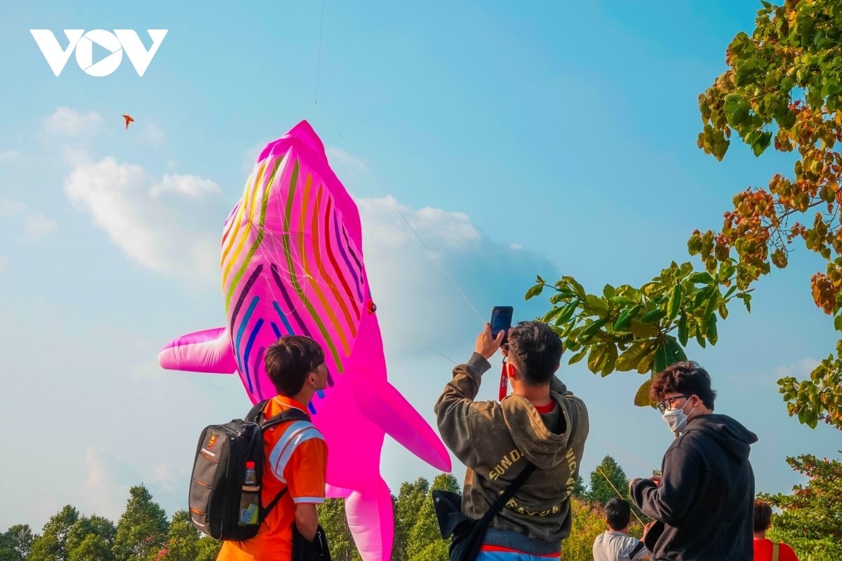 annual kite festival draws large crowds in can tho picture 6