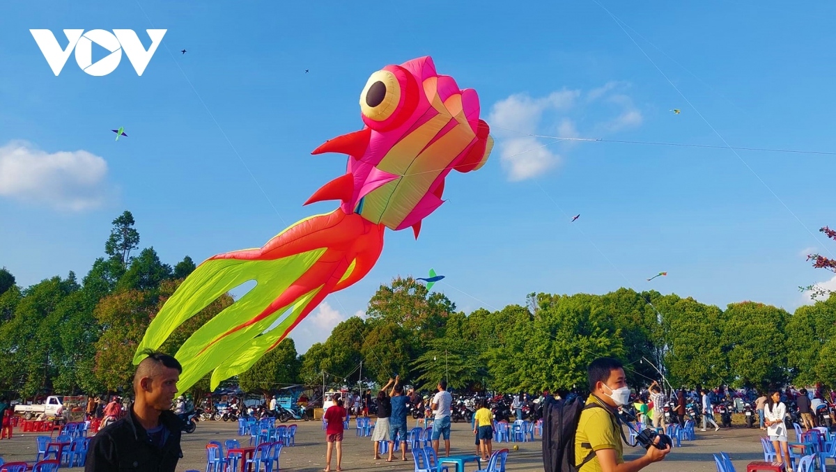 annual kite festival draws large crowds in can tho picture 9