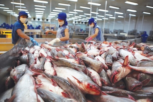 bright prospect for tra fish exports in 2023 picture 1