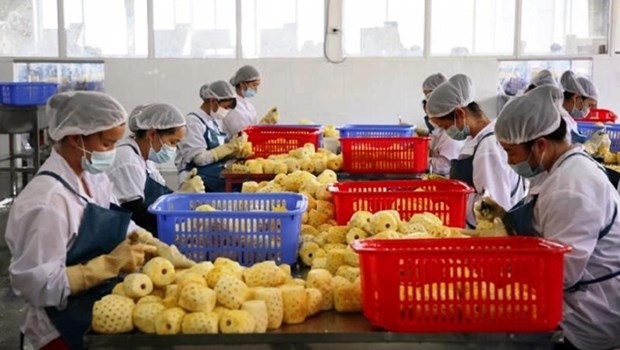 china issues 435 codes for vietnamese agricultural product exporters picture 1