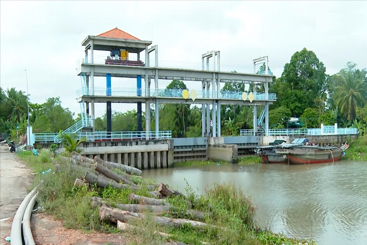 vinh long chu dong phong chong man xam nhap tu dau mua hinh anh 3