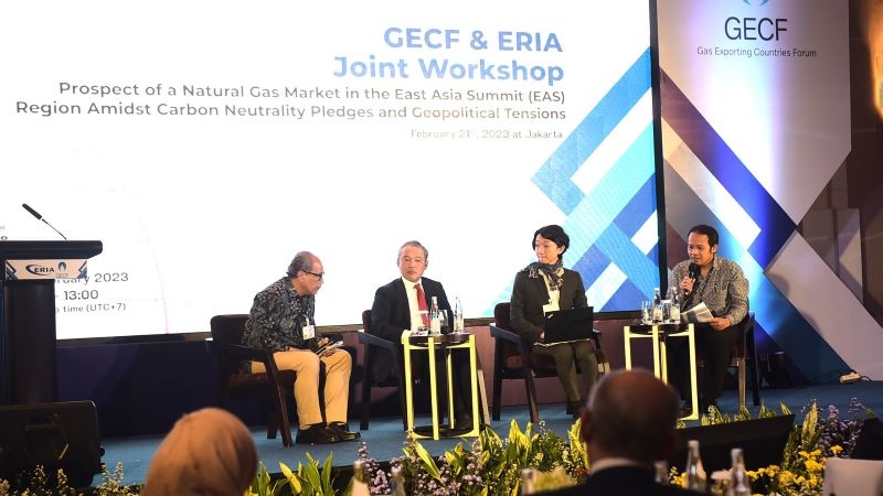 natural gas demand in eas region expected to double by 2050 workshop picture 2