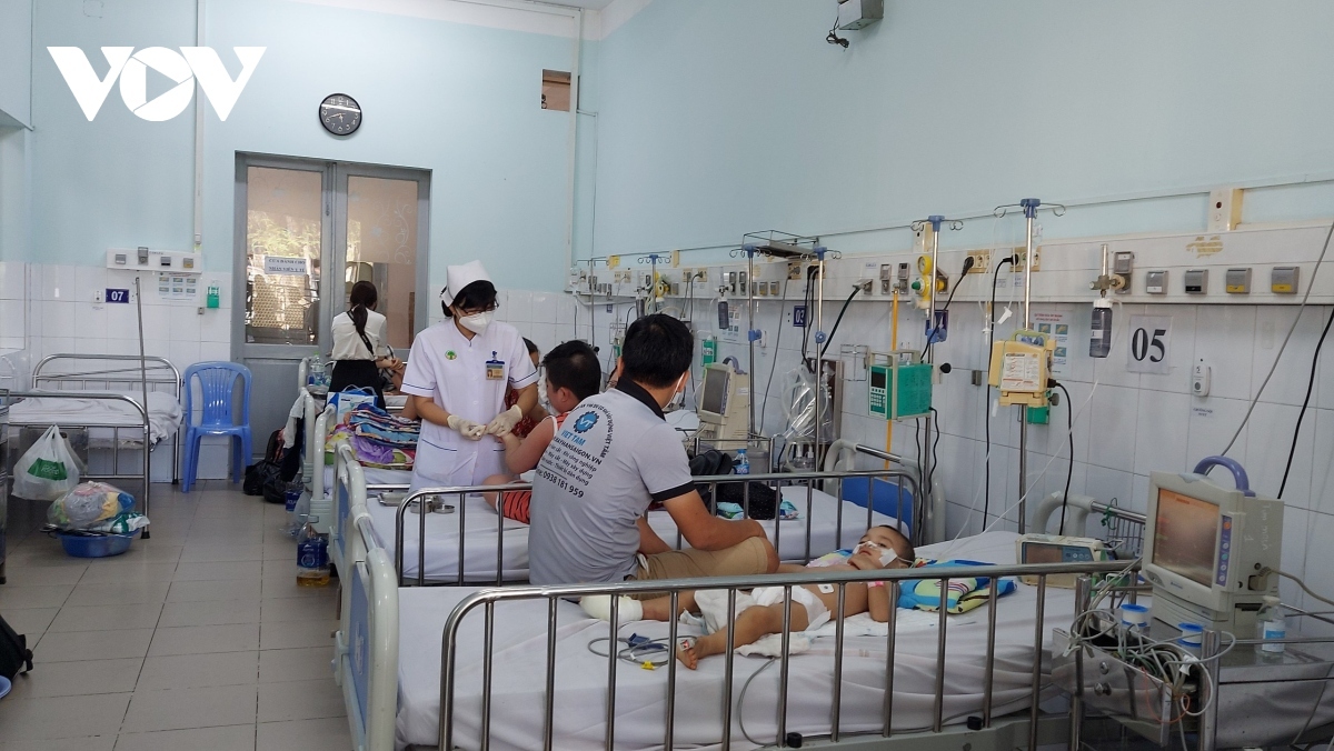 dengue fever cases drop in ho chi minh city picture 1