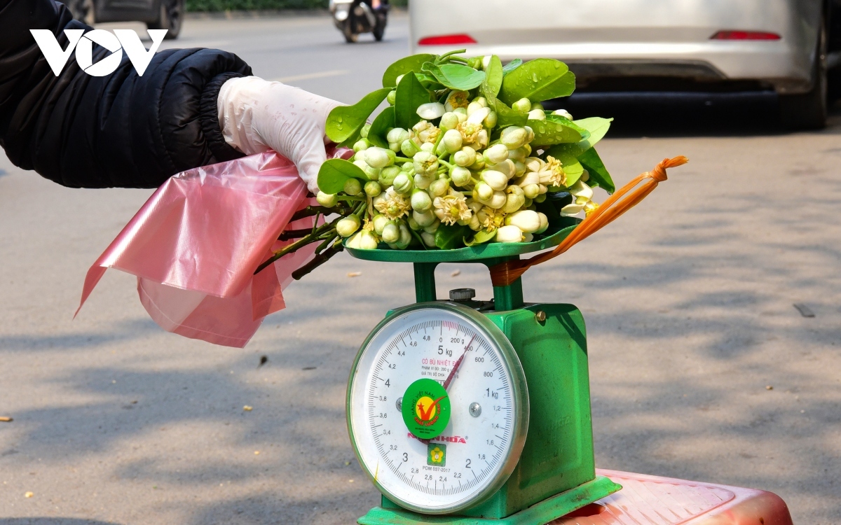 scent of pomelo flowers fills streets of hanoi picture 11