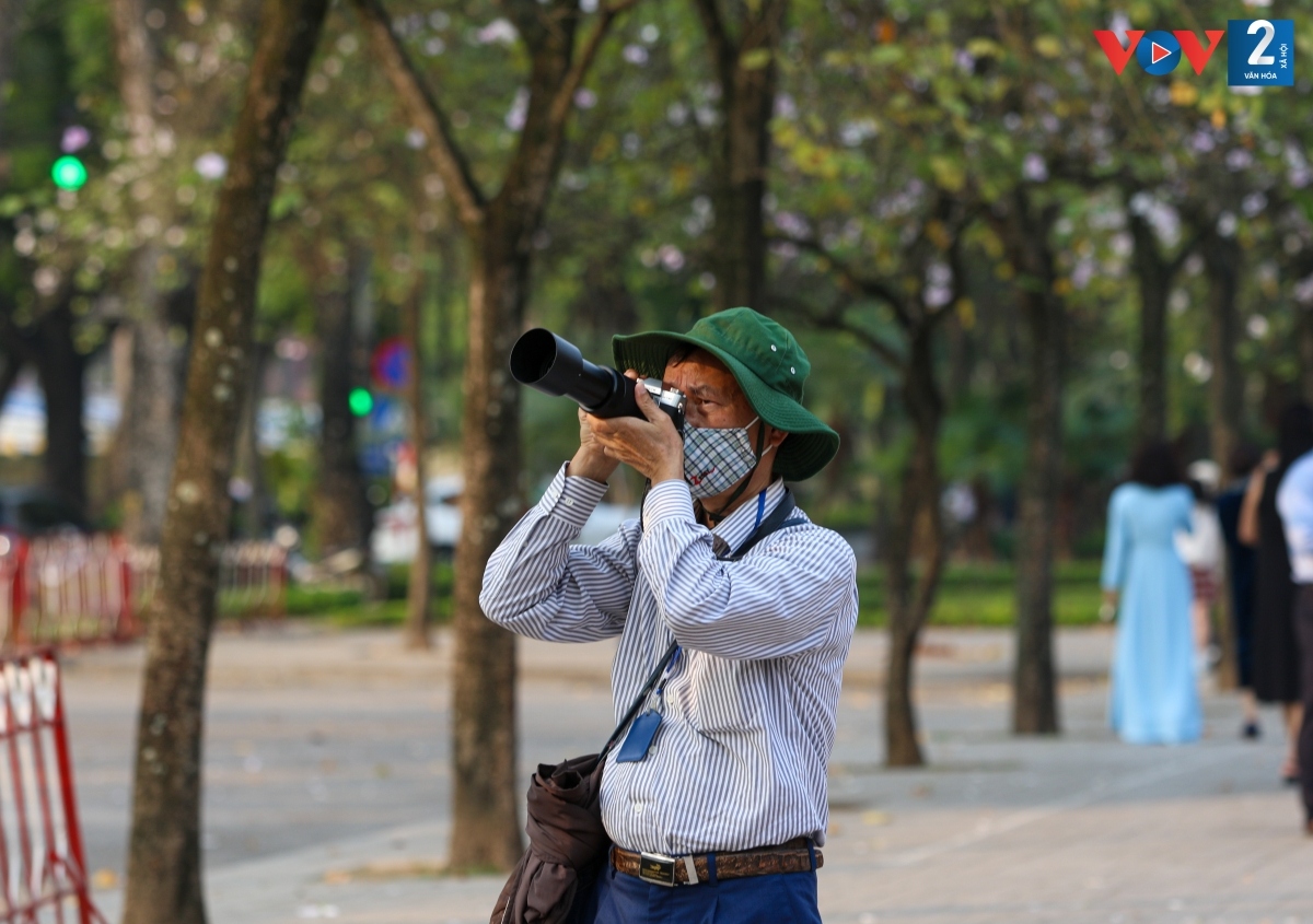 hoa ban bung no giua long ha noi hinh anh 13