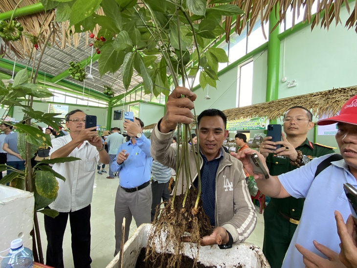 second ginseng fair to make its debut in vietnam this month picture 1