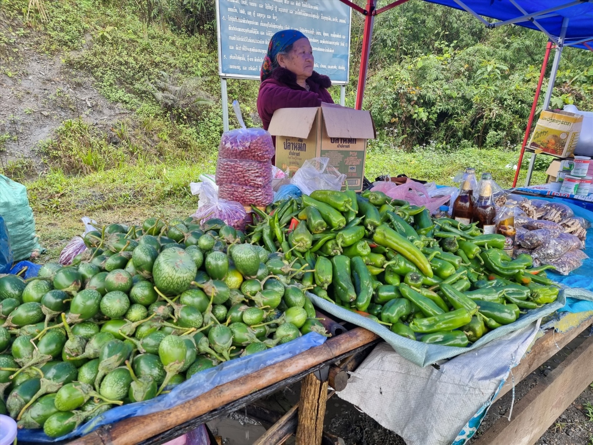 unique specialties go on sale at vietnam-laos border market picture 6