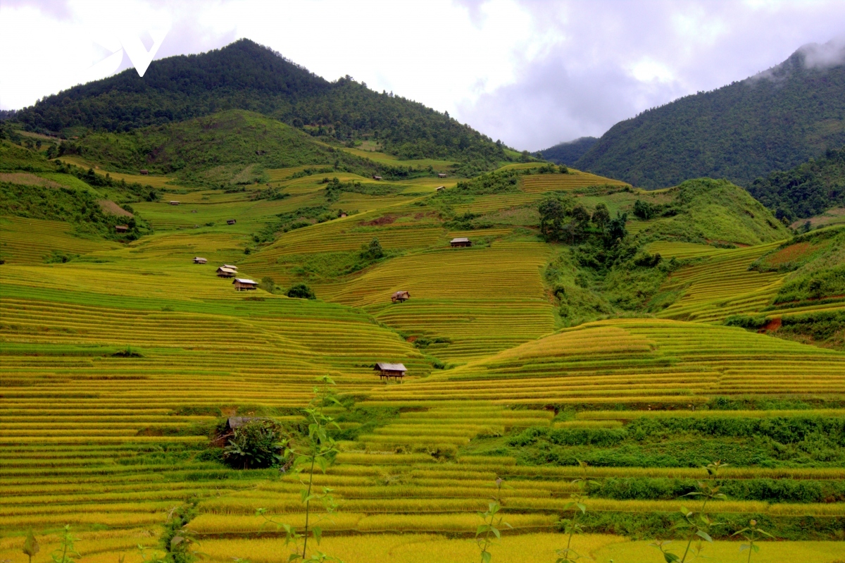 Ha Long Bay, Mu Cang Chai among most colourful places in the world