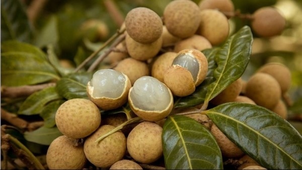vietnamese longan sold well in japan despite high prices picture 1