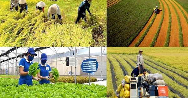 agricultural sector aims for us 25 billion in fdi by 2030 picture 1