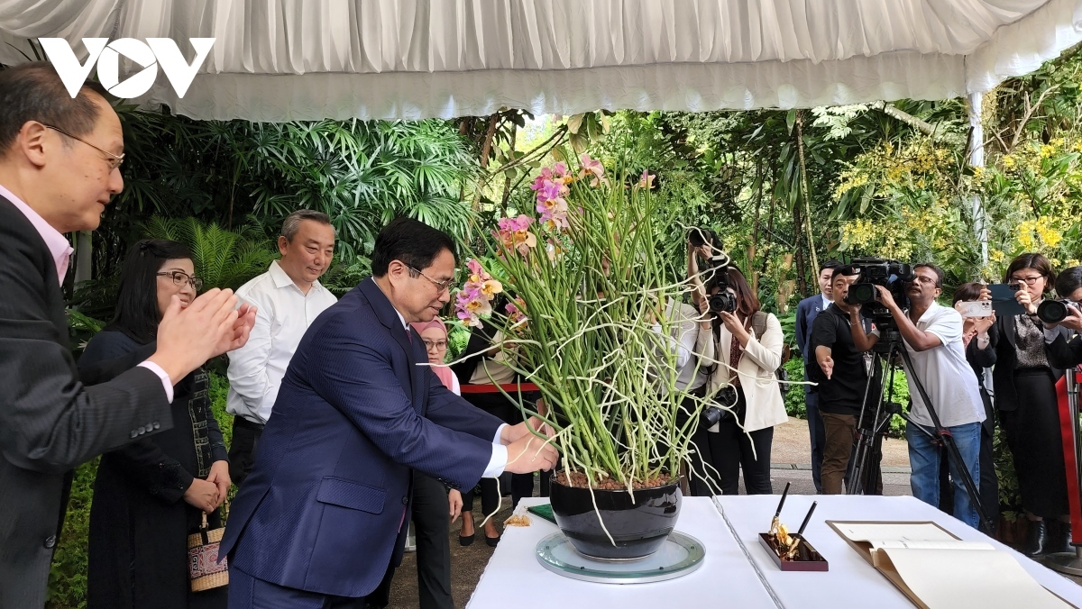 pm chinh lays flowers at president ho chi minh statue in singapore picture 5