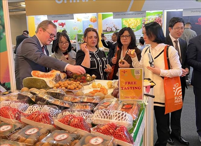 vietnam fruits introduced at berlin exhibition picture 1
