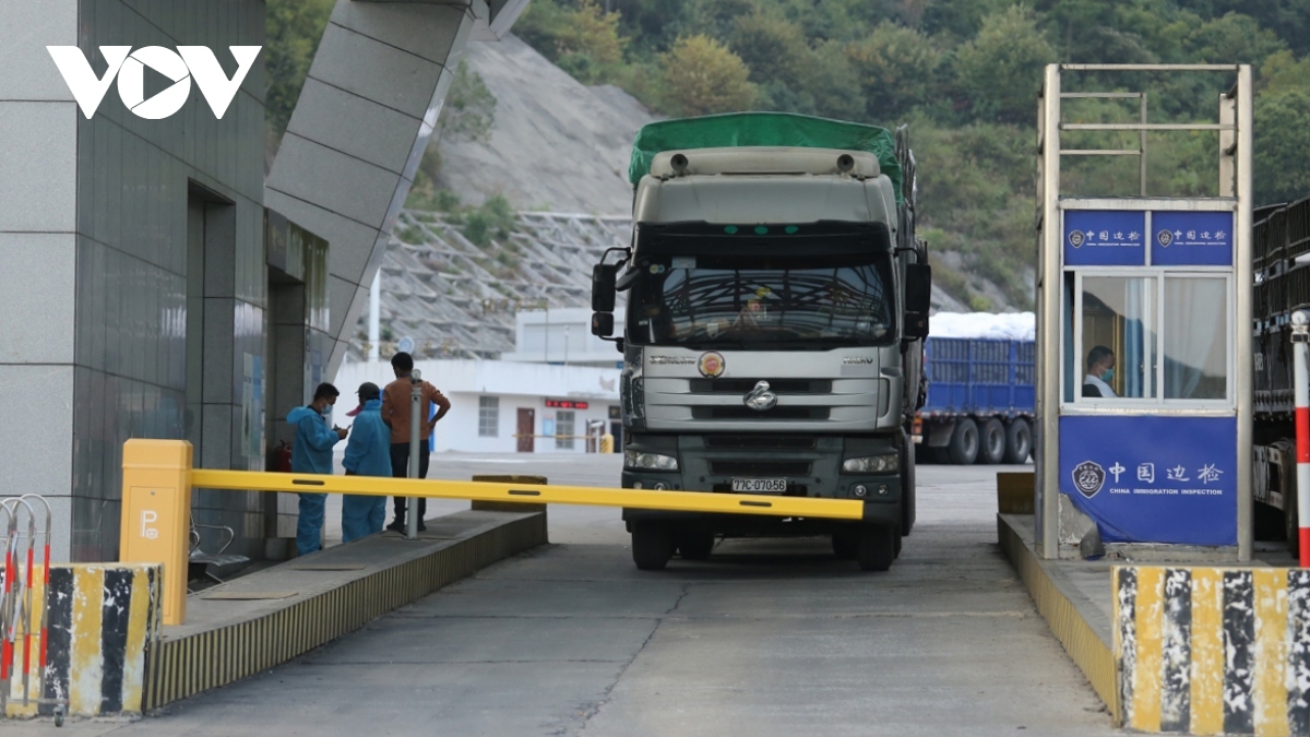 Hải quan tăng cường xử lý phương tiện vận chuyển quá tải, quá khổ